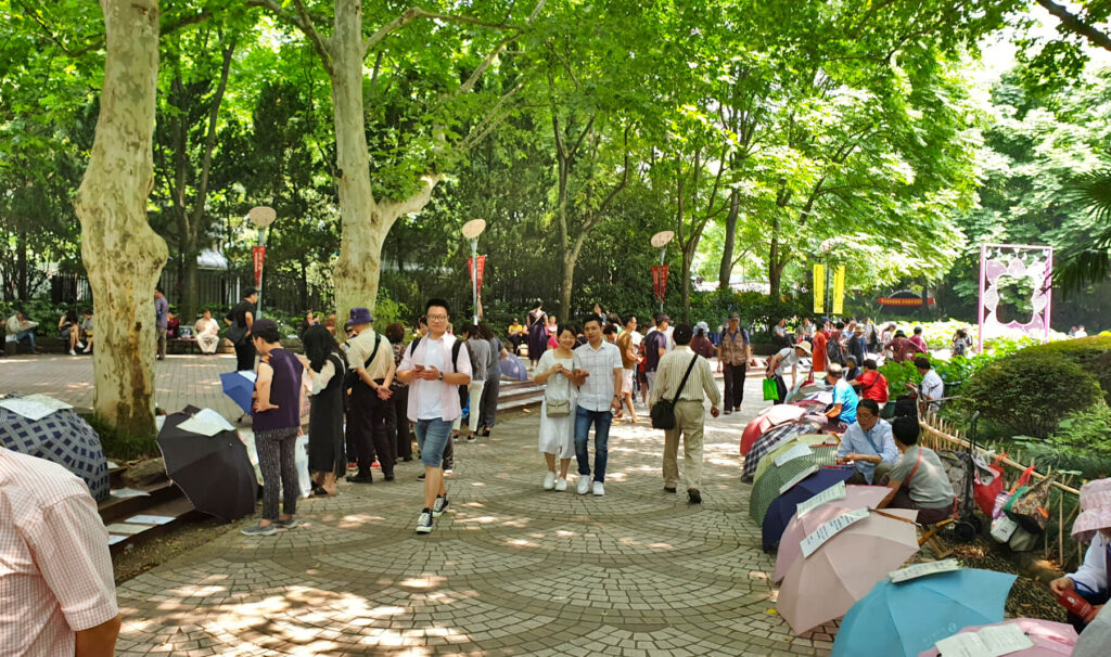The Shanghai People's Park Marriage Market. Parents and grandparents display adverts of their unmarried children on umbrellas that are lining the pathway - a unique aspect to this Shanghai 3-day itinerary!