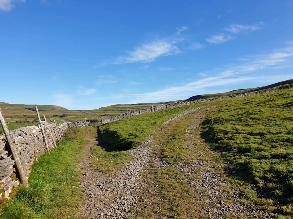 The path splits here, keep left and then turn right after passing the drystone wall. Green fields as far as the eye can see.