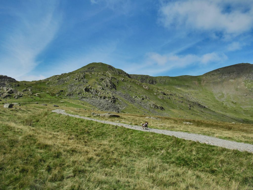 Looking up at Brown Pike, Buck Pike and Dow Crag from Walna Scar Road at the start of this Walk