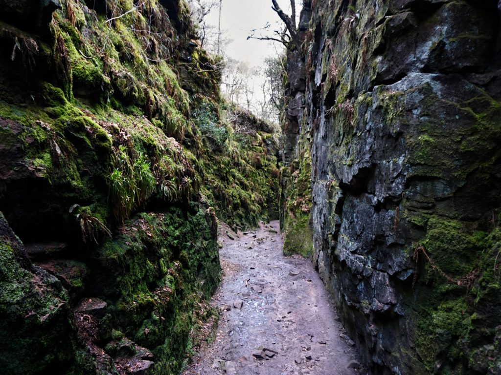 Inside the narrow passageways of Lud's Church. With its moss-covered and tall walls, you'll feel a world away from the Staffordshire Peak District