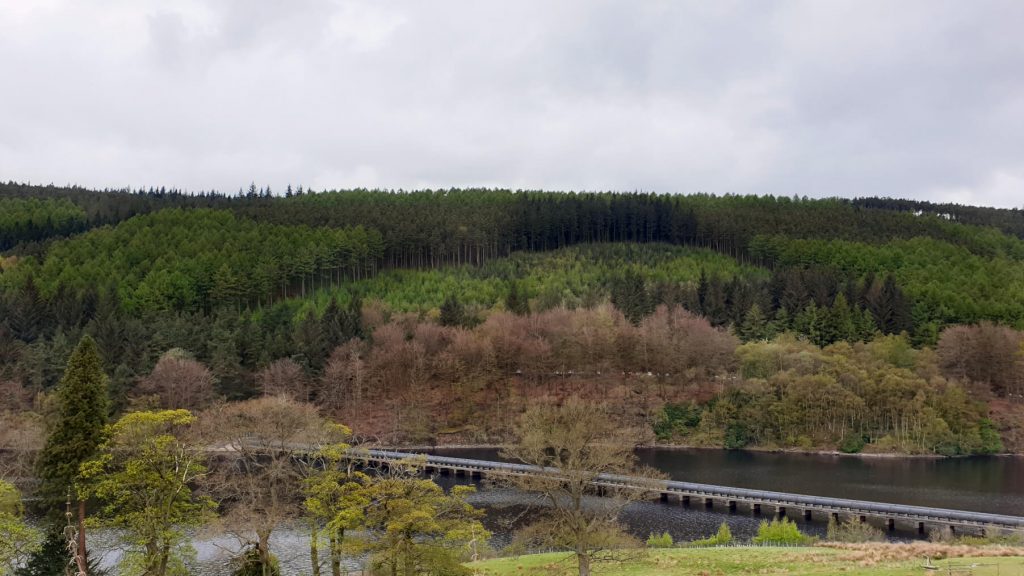 Incredible views of dense forests on the hills from this Ladybower Reservoir Walk