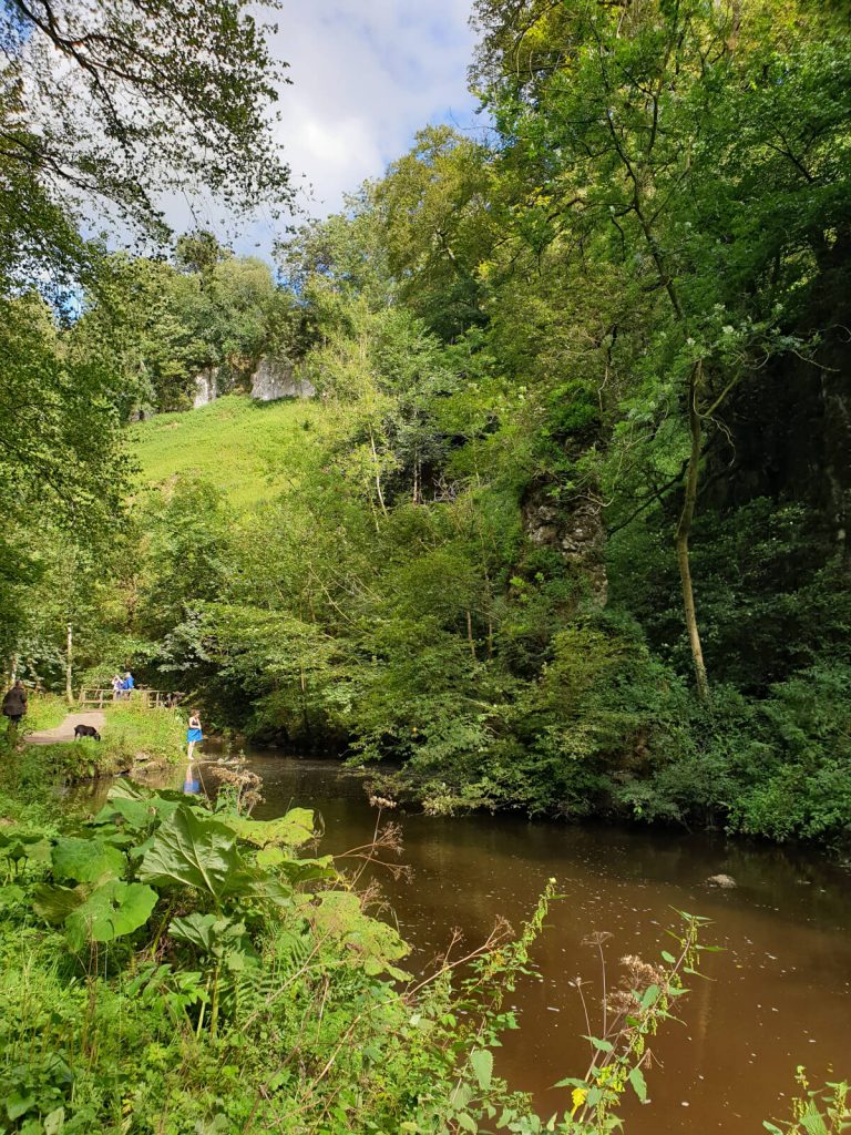 The River Dove in the centre of the image running through Beresford Dale - an area of lush green trees and steep, rocky valley walls. In the distance a swimmer can be seen stood on the riverbanks.