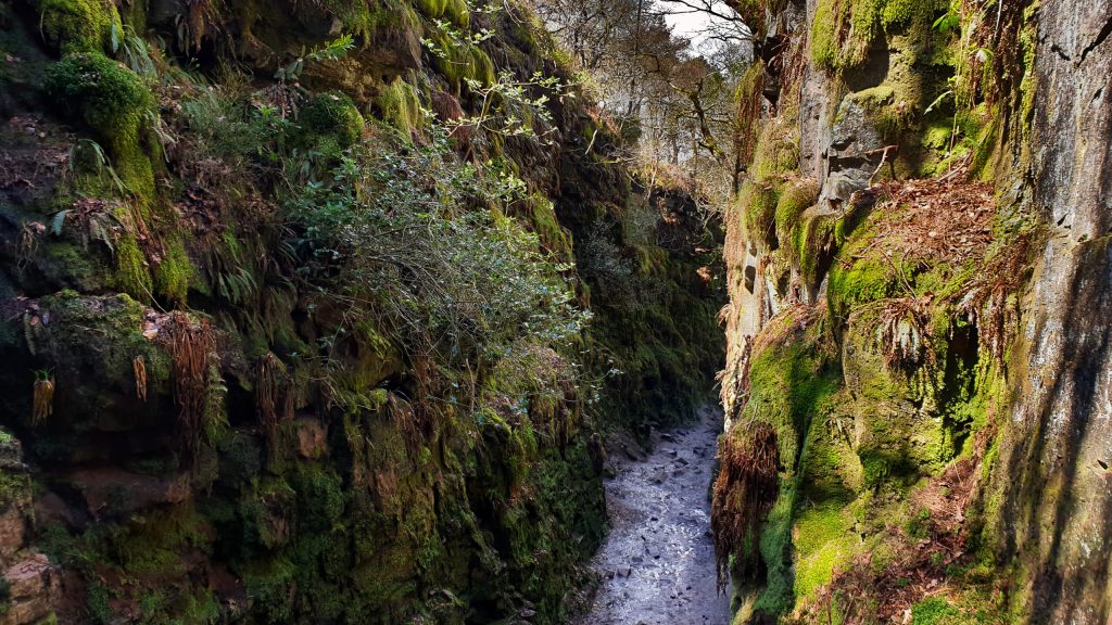 Inside the narrow chasm that is Lud's Church in the heart of the Peak District. A short 2-mile walk (round trip) will get you to this unique, moss-covered passageway in the depths of woodland.