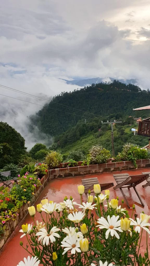 Amazing views of the mountains and clouds from Cabanas La Cumbre, San Jose del Pacifico. The clouds are forming from the trees in the forest below the hostel. Flowers of many colours line the terraces in the photo's foreground