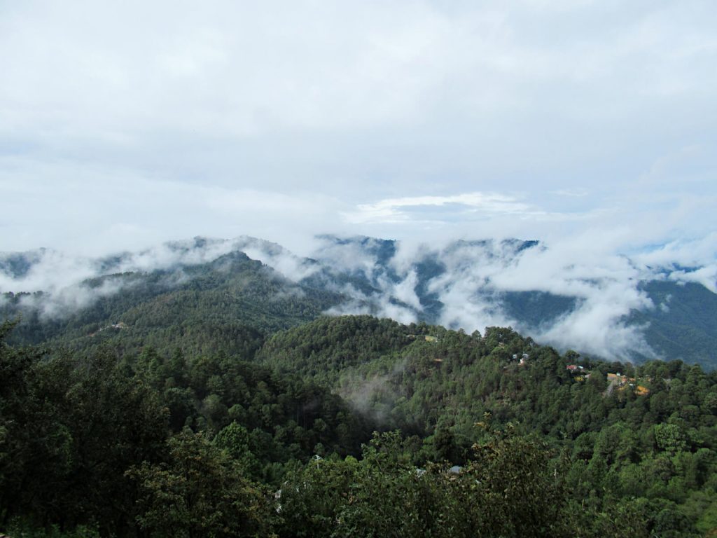 Looking over the vast forest-covered mountains surrounded San Jose. Clouds are forming from the trees