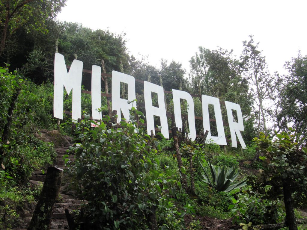 Large white letters on the hillside spelling out Mirador, surrounded by trees and bushes high up in San Jose