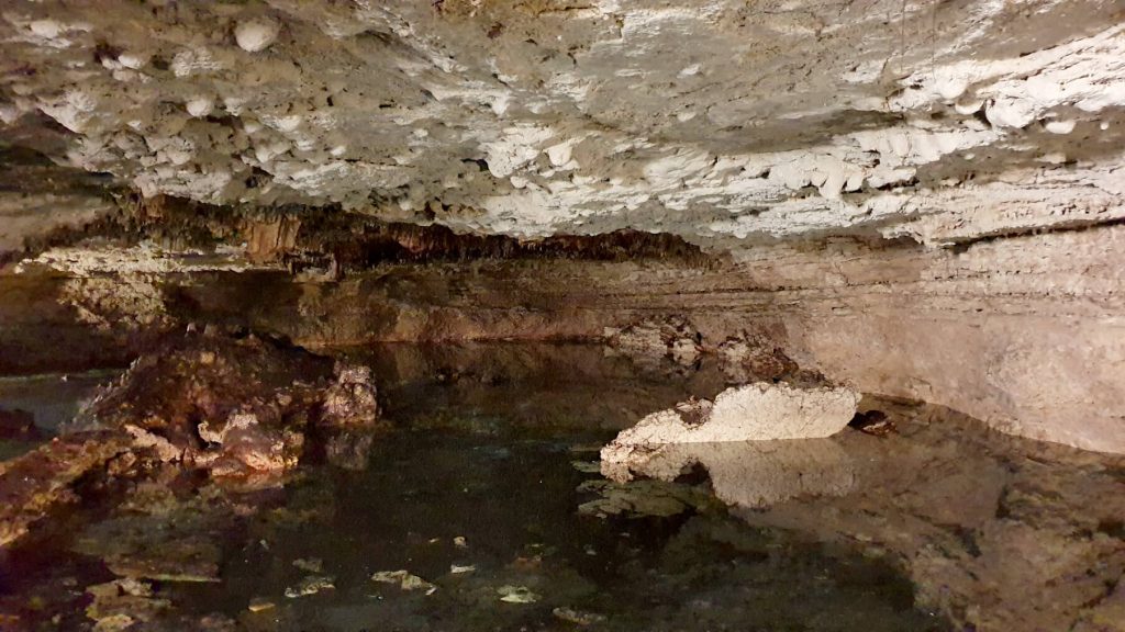 An underground cenote in Playa del Carmen - one of many around Cancun. Still water surrounded by a ceiling and walls of rock
