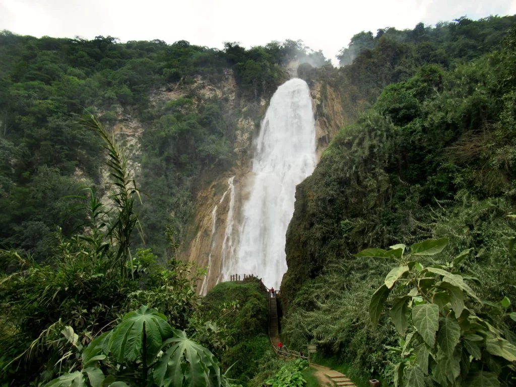 Surrounded by the lush green jungle, this stunning waterfall is the jewel in the crown of Cascadas El Chiflon