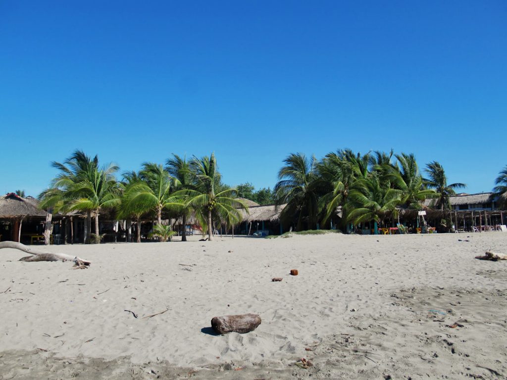 Palm trees and beachfront restaurants line the beach in rustic Chacahua