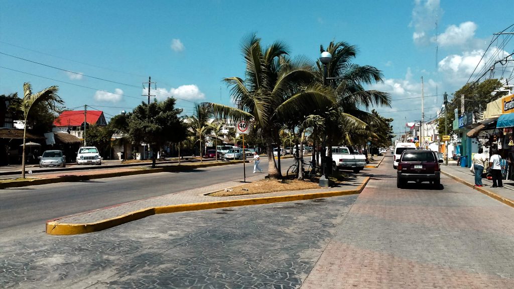 Looking along a palm-tree lined road in the centre of Tulum