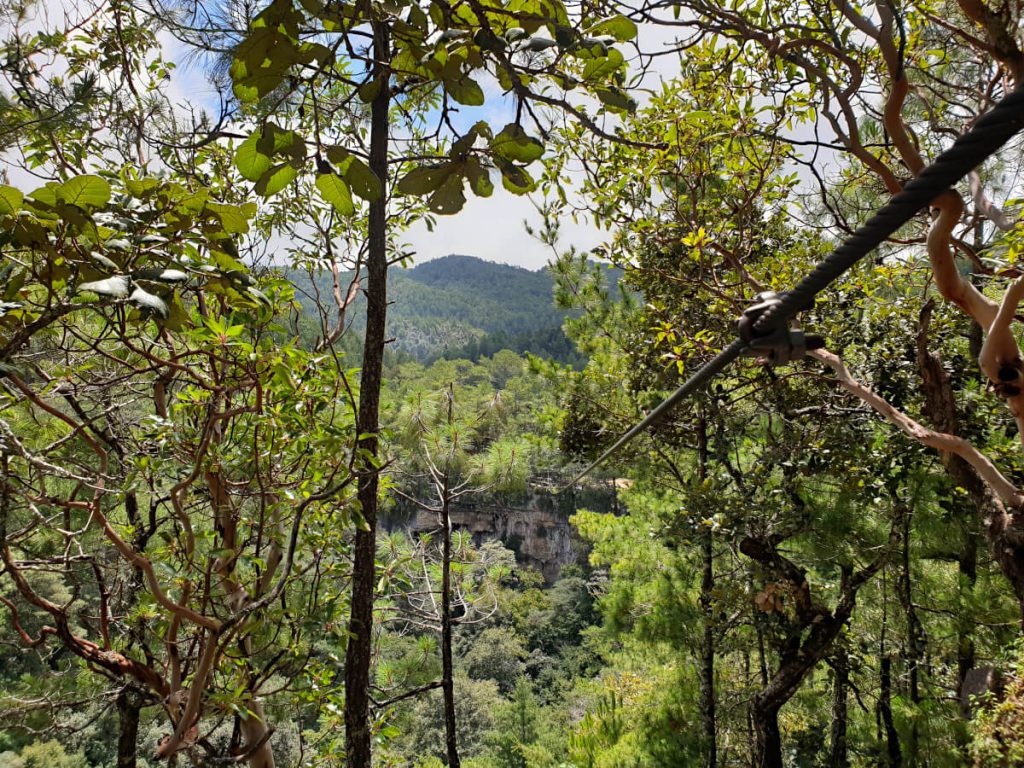 The zip line (or tirolesa in Spanish) of El Arcotete, travel across the tree tops in this ecotourism park!