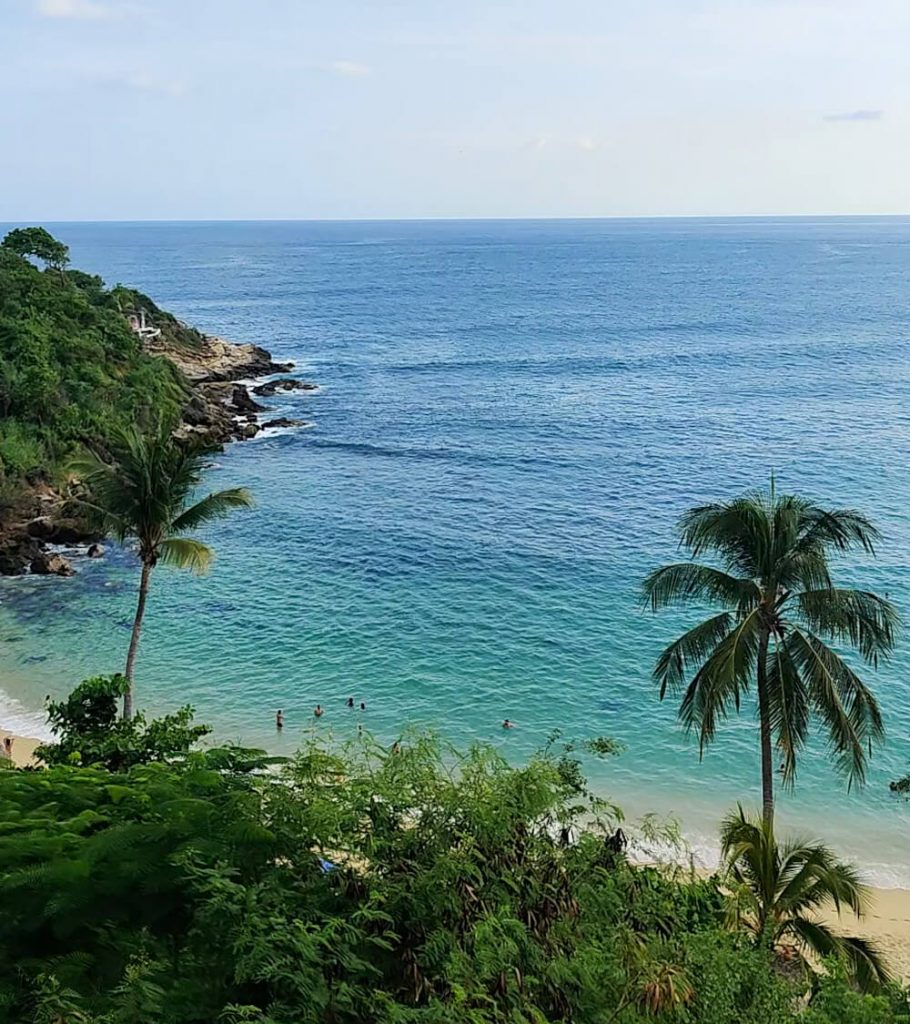 A tropical paradise in Puerto Escondido. Palm trees and green cliffs flank the beach where golden sand meets clear blue seas