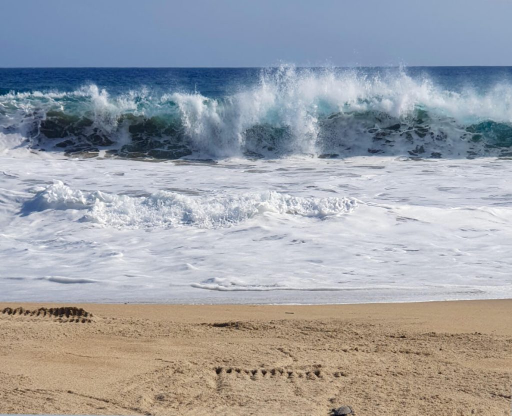 The fierce waves of the pacific crash against the Oaxaca coastline